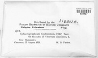 Image Associated With the Occurence